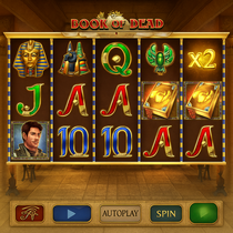 ViciBet - Book of Dead Slot Game - Play'n GO